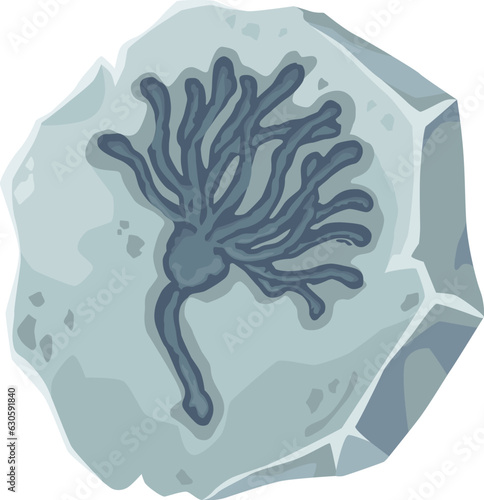 Fossil, ancient plant or prehistoric sea animal stone imprint, vector archaeology museum, paleontology science. Cartoon Jurassic fossil, gray rock with silhouette of flower or crinoid skeleton trace