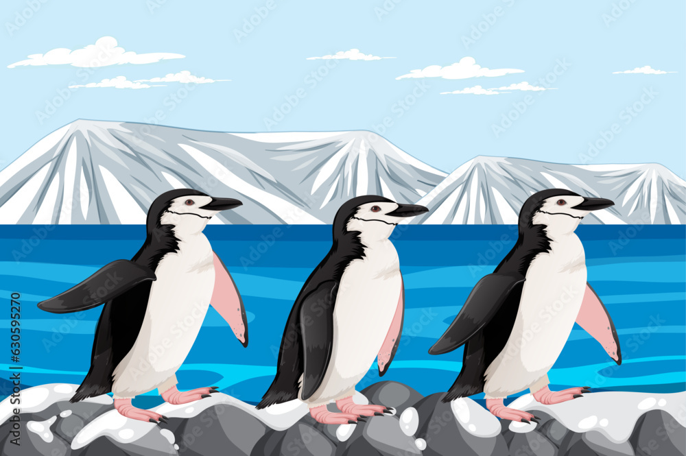 Obraz premium Penguin Standing on Rocks in Arctic