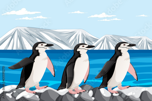 Penguin Standing on Rocks in Arctic