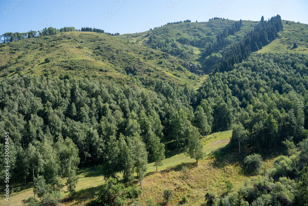 Obraz premium Mountains around Almaty Kazakhstan, Talgar gorge and ski resort Akbulak