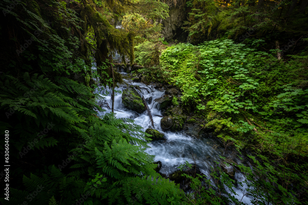 Virgin Creek, Alaska Virgin Creek, Alaska