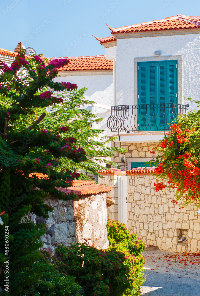 stone houses and historical street izmir