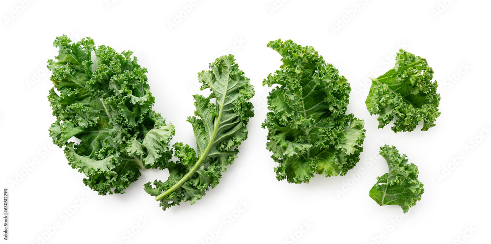 Kale placed on a white background.