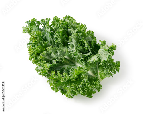 Kale placed on a white background.