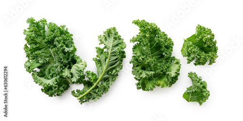 Photos Kale placed on a white background.