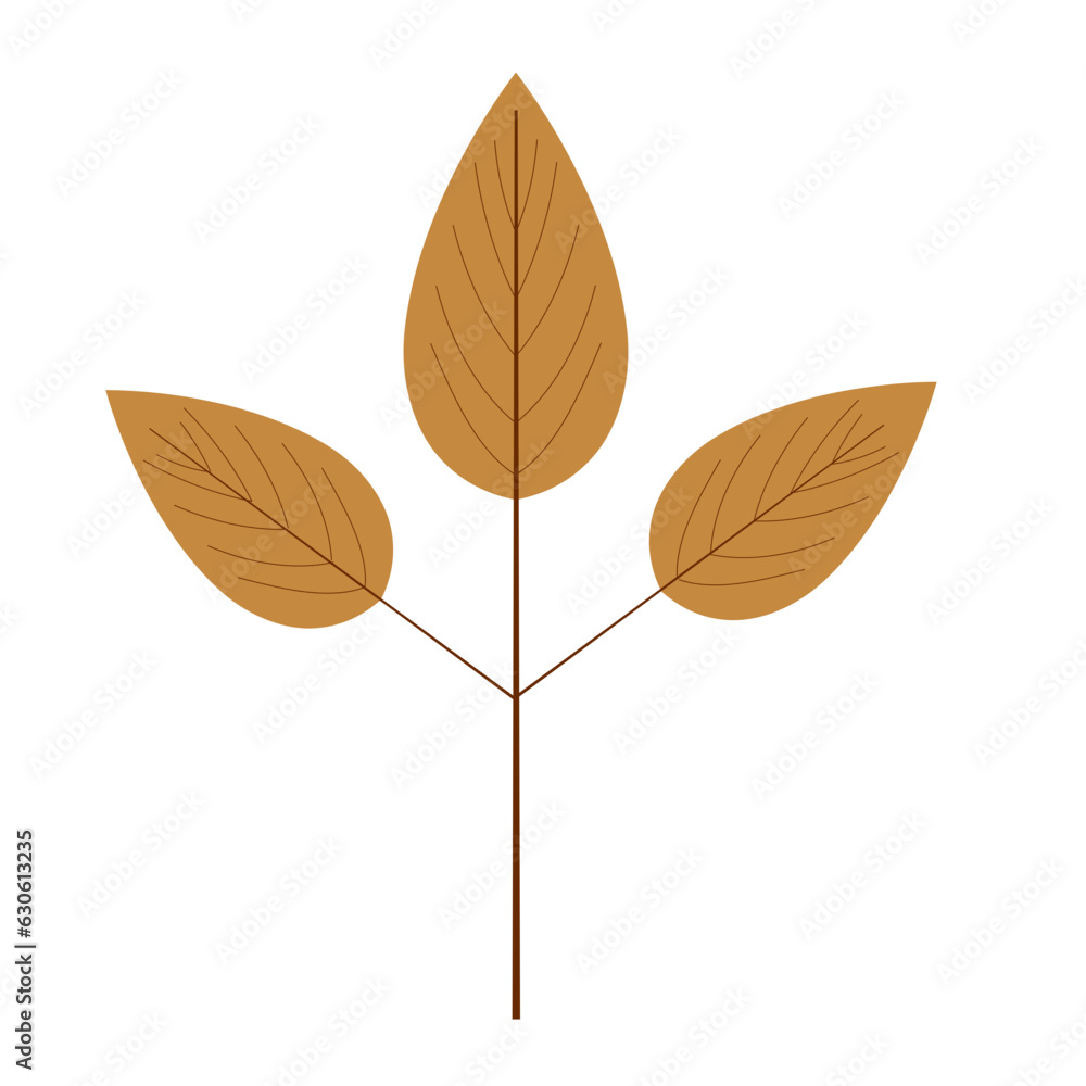 Obraz premium Autumn Leaf