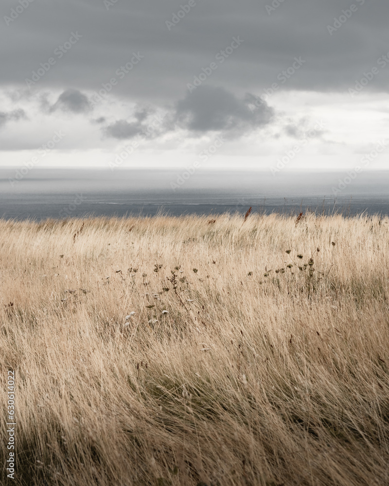 Obraz premium An amazing clifftop view of the sea