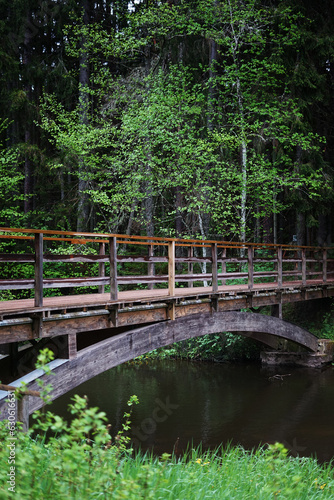 Wooden bridge on a quiet forest river surrounded by green forest