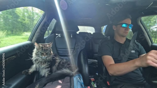 Timelapse of a Caucasic man driving his car with a cat as copilot interior view photo