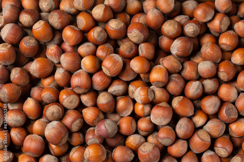 Hazelnuts as background. Nuts in shell. Top view. Hazelnuts as background. Nuts in shell. Top view.