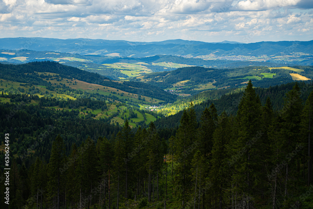 The treetop walk Bachledka in Bachledova valley in Slovakia. Bachledka Ski  Sun within the town of Zdiar. The Bachledzka Valley descends into the Zdziarska Valley opposite the Belianske Tatras.