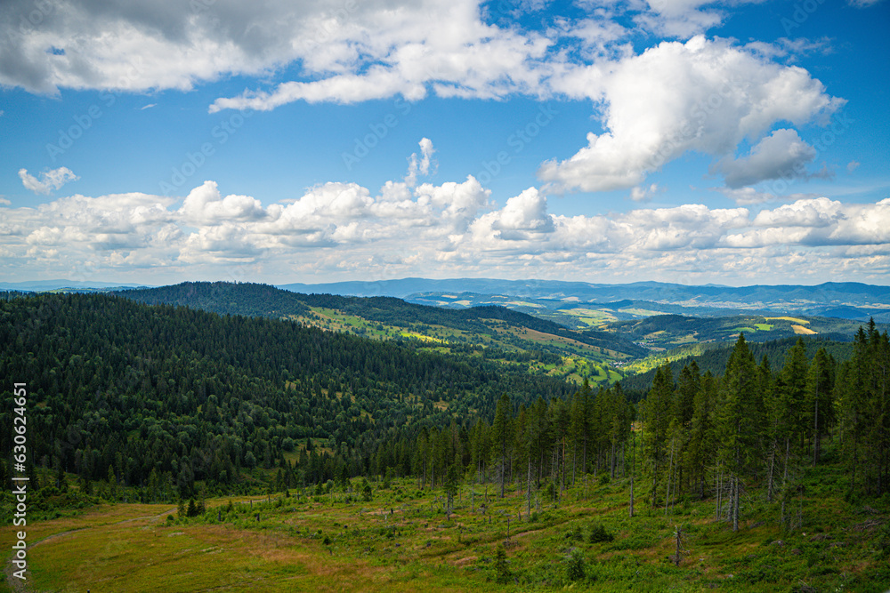 Fototapeta premium The treetop walk Bachledka in Bachledova valley in Slovakia. Bachledka Ski Sun within the town of Zdiar. The Bachledzka Valley descends into the Zdziarska Valley opposite the Belianske Tatras.