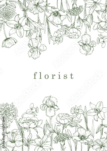 Flower Shop. Florist. Hand-drawn illustration of flowers. Ink. Vector 