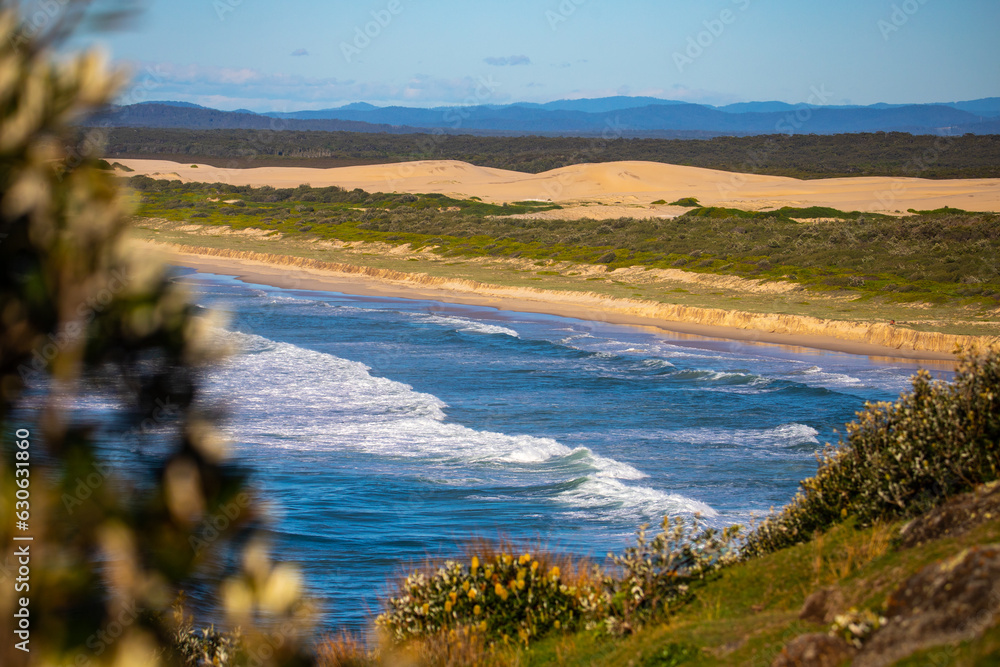 panorama of new south wales coast in hat head national park; green hills coverd with juicy grass by the ocean, beautiful beach surrounded by cliffs in australia, o'connors beach in hat head panorama of new south wales coast in hat head national park; green hills coverd with juicy grass by the ocean, beautiful beach surrounded by cliffs in australia, o'connors beach in hat head