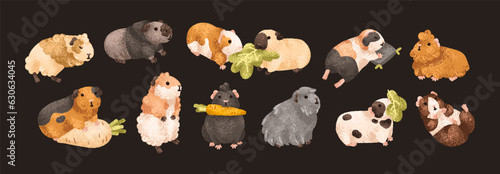 Cute guinea pigs set. Funny baby rodents, small pets. Kawaii adorable home animals. Happy comic sweet cavies eating, sleeping, relaxing, lying. Isolated kids flat graphic vector illustrations