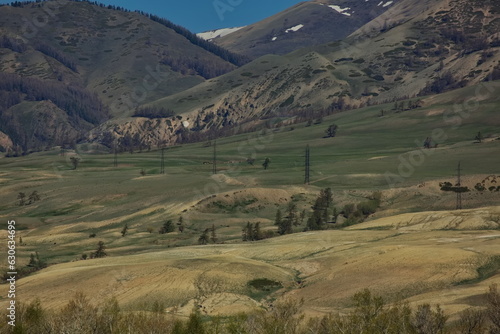 Martian landscapes of the Altai highlands.