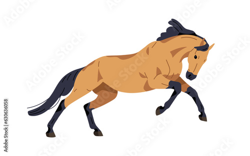 Horse running fast, galloping. Stallion, equine animal in movement, action. Buckskin bicolor steed, mustang, racehorse of Andalusian breed. Flat vector illustration isolated on white background