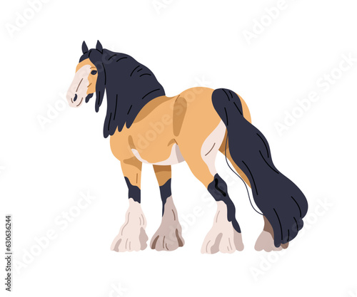 Draft draught heavy horse. Work stallion, tinker, gypsy cob breed. Purebred steed, equine animal with feathering on legs, mane, tail. Flat graphic vector illustration isolated on white background