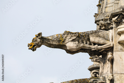 A gargoyle on the castle of Amboise