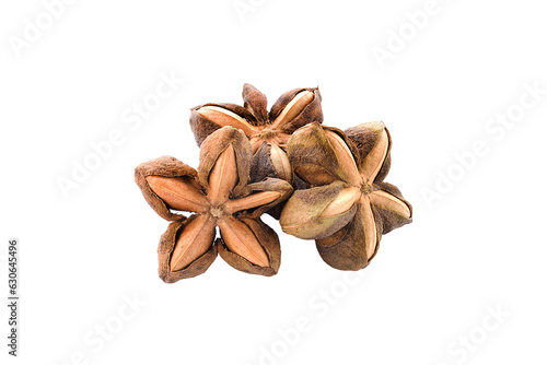 Incas, inchah peanut seed sacha isolated on transparent png