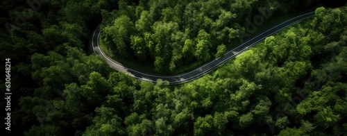 Aerial view of thick forest in autumn with road