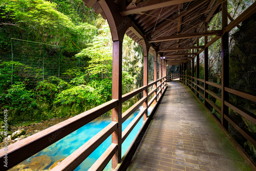 夏の秋芳洞 山口県美祢市 Akiyoshi Cave in summer. Yamaguchi Pref, Mine City. 夏の秋芳洞 山口県美祢市 Akiyoshi Cave in summer. Yamaguchi Pref, Mine City.