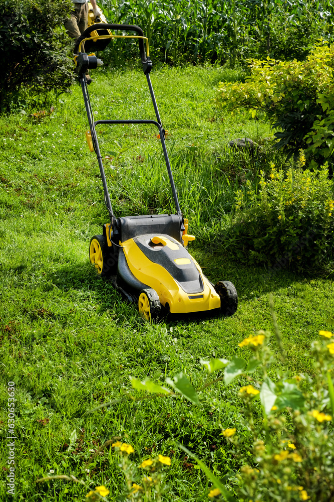 Fototapeta premium lawn mower on green grass