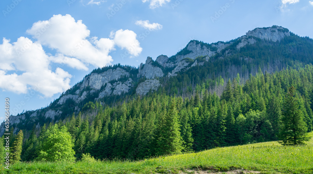 Summer landscape at Tatra national park ,Zakopane.