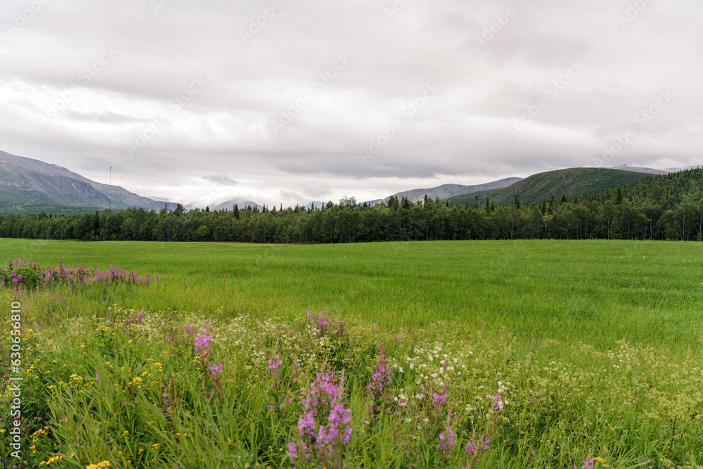 Obraz premium Desktop background, nature field and mountains of the north.