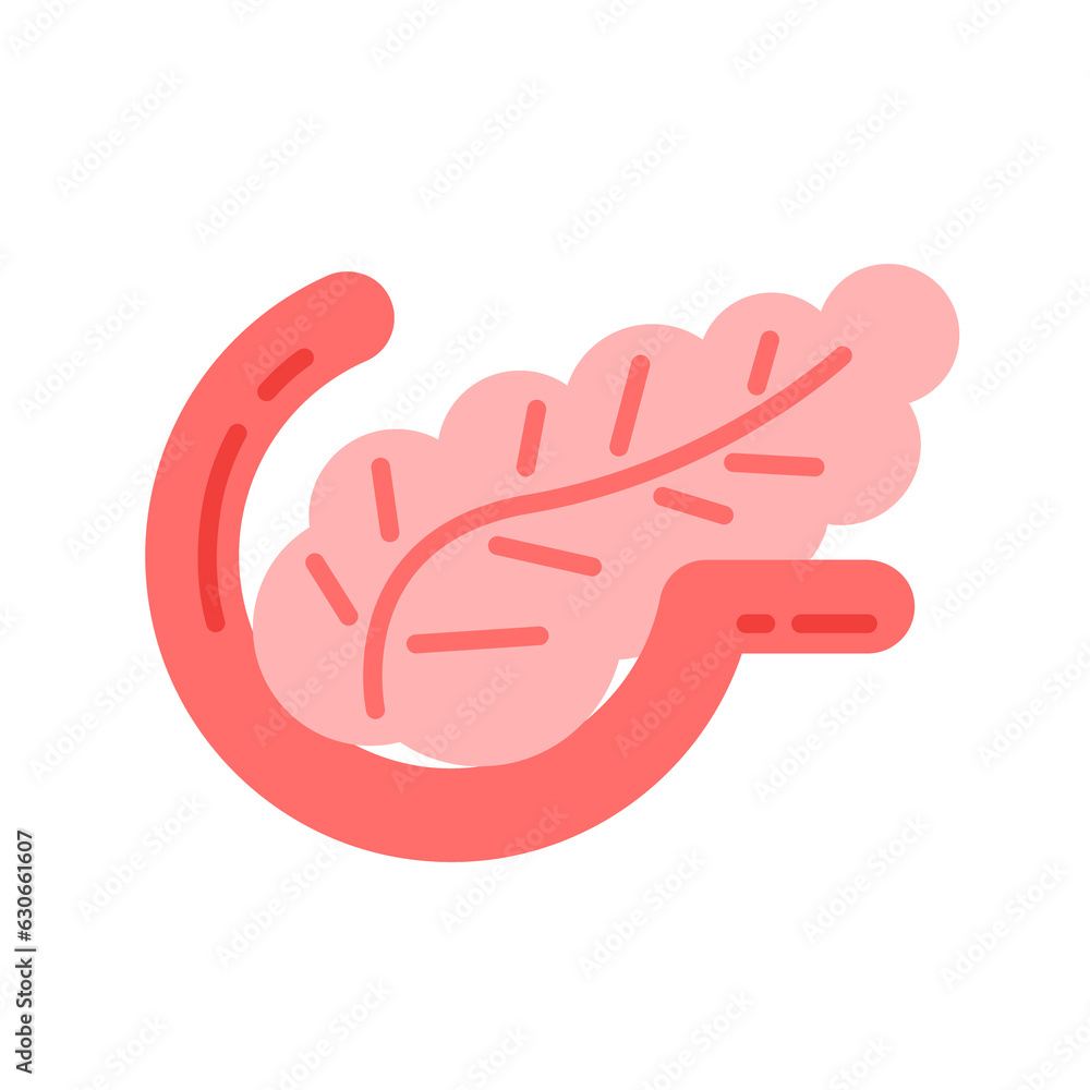 Pancreas icon vector illustration design, cute flat icon design, organs symbol image Pancreas icon vector illustration design, cute flat icon design, organs symbol image