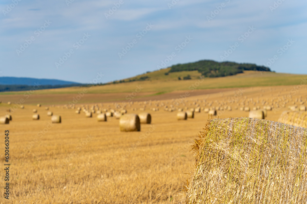 Fototapeta premium Straw bales in the summer sun on a hillside in Hungary