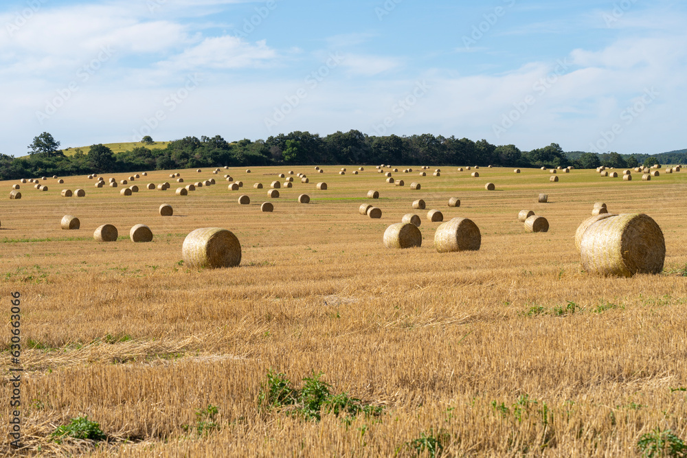 Straw bales in the summer sun on a hillside in Hungary