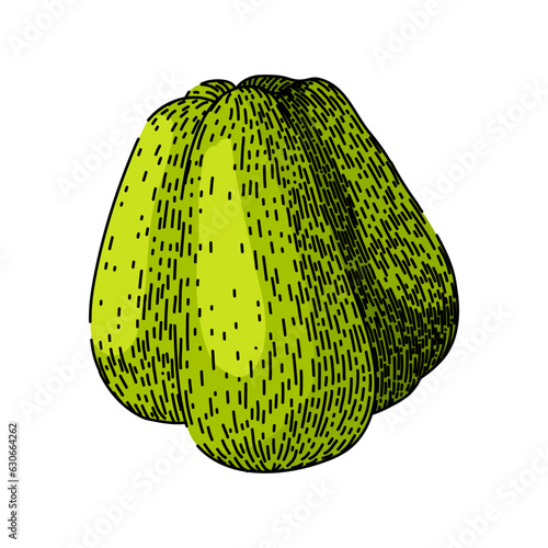 nutrition chayote healthy hand drawn. edible fresh, nutritious raw, food vegetable nutrition chayote healthy vector sketch. isolated color illustration