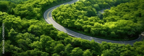 aerial drone shot of road winding through a lush tropical forest