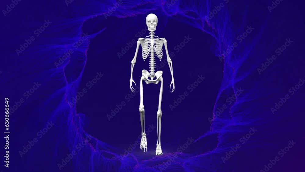 Animation of blue light trails over skeleton walking Animation of blue light trails over skeleton walking