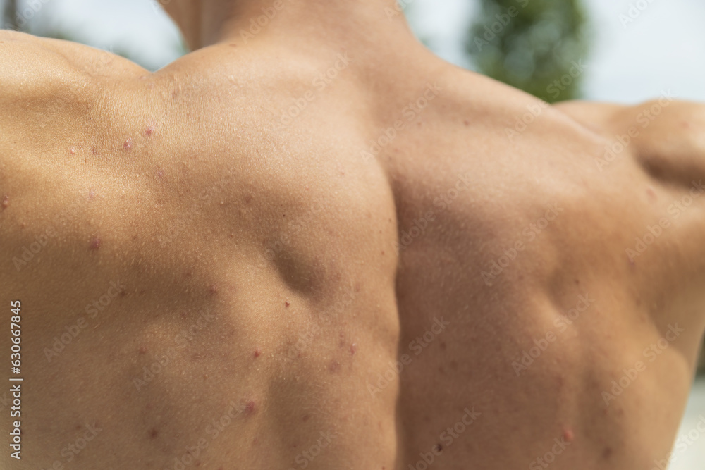 A sporty man demonstrates his back muscles, close-up A sporty man demonstrates his back muscles, close-up