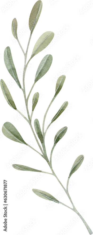 Hand Drawn Watercolor Stylized Leaf Hand Drawn Watercolor Stylized Leaf
