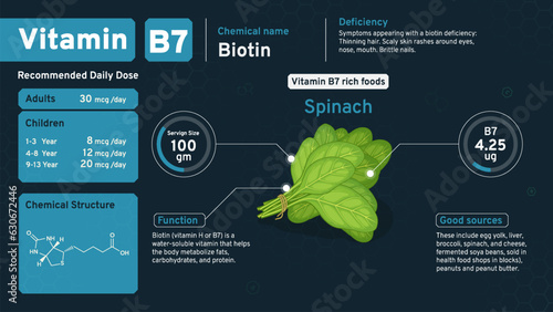 Vitamin B7 Illuminating Health from Within! Discover the Daily Dose, Chemical Power, Retinol Structure, and Rich Foods with Serving Sizes to Nourish Your Vision- Vector infographics Design