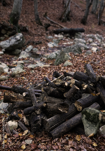 Fototapeta Naklejka Na Ścianę i Meble -  A pile of firewood lies on fallen leaves in the autumn forest