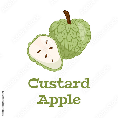 Custard apple whole fruit and half sliced isolated on white background. Cherimoya, annona reticulata, wild sweetsop, soursop, sugar apple icon for package design.