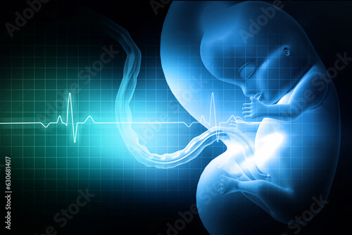 Tableau sur toile Fetus baby with heart beat pulse. 3d illustration