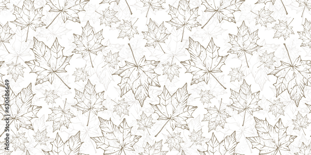 Pattern of autumn dry leaves. Maple Leaf. Illustration for the design of textiles, covers, ceramics. White background.