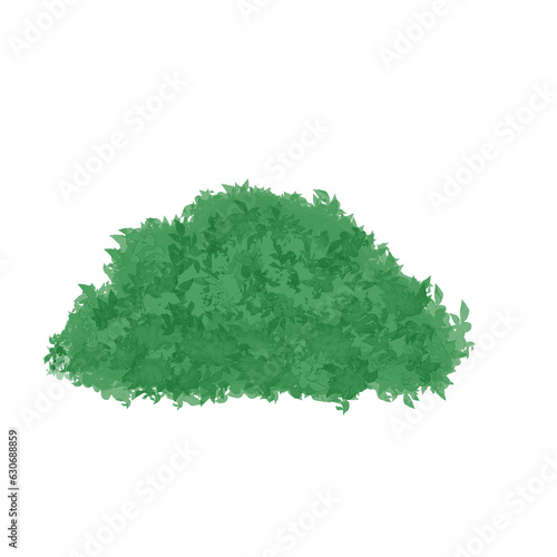 green grass isolated on white
