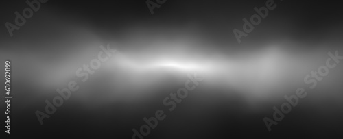 A dense black and white cloud of smoke.