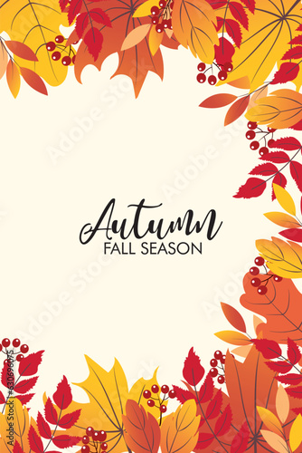 autumn background with leaves. Autumn sale background layout decorate with leaves of autumn for shopping sale or banner, promo poster, frame leaflet or web. Vector illustration. 