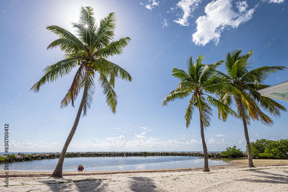 Relaxing tropical beach with palm trees and blue sky in the Florida Keys, USA
