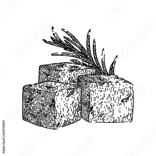 appetizer feta cheese hand drawn. food cuisine, fresh meal, salad greece appetizer feta cheese vector sketch. isolated black illustration