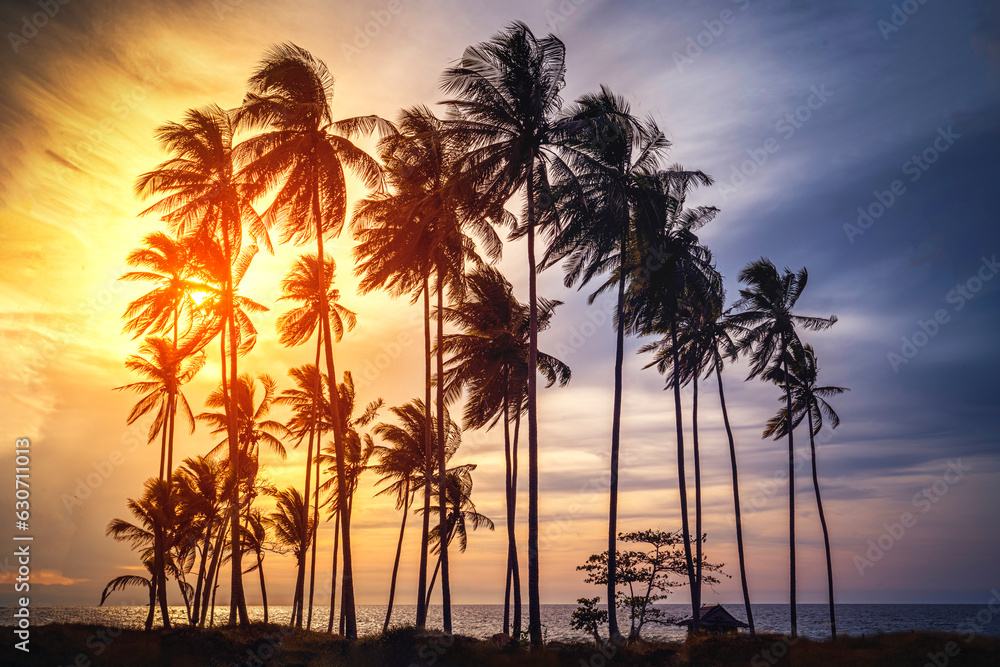 The landscape is a colorful sunset on the coast. Tropical palm trees against a blue-orange sky. Vacation and leisure tourism in warm countries.