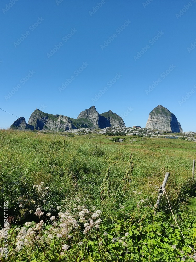 landscape in the mountains