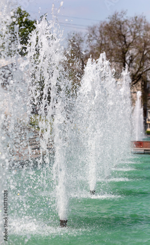 Fountain park in summer. Nature